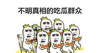 娱乐之星吃瓜群众是谁啊,揭秘娱乐圈神秘幕后推手